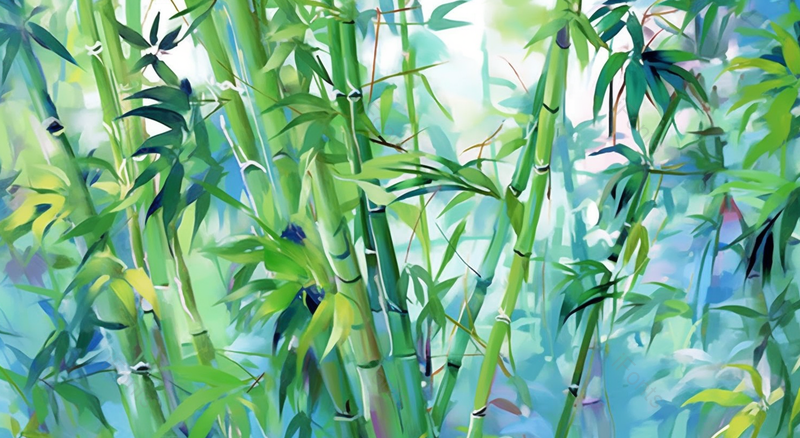 中国风水彩箭竹林插画,插画/手绘图,插画/手绘图库,插画/手绘图下载,插画/手绘